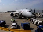 American Airlines American Airlines