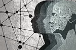 CFO Insights CFO Insights