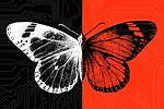 Digital Transformation Butterfly Digital Transformation Butterfly