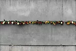 Flowers placed on the Berlin Wall in 2018 Flowers placed on the Berlin Wall in 2018