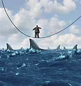 Tightrope Walking Over Shark Infested Waters