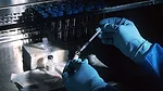 Vaccine Vaccine