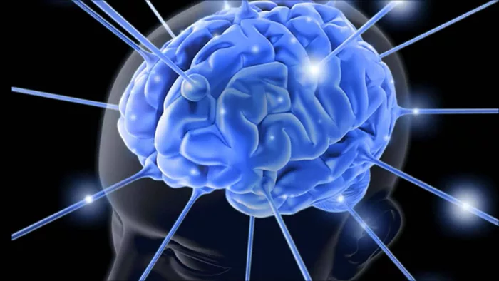 Memory Magic: Putting Your Brain on Speed Dial
